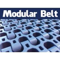 Modular Belt